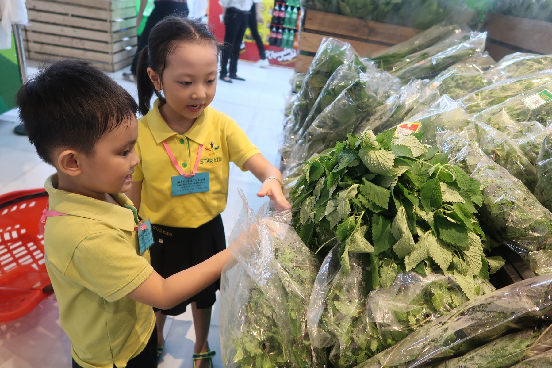 HOẠT ĐỘNG NGOẠI KHÓA 